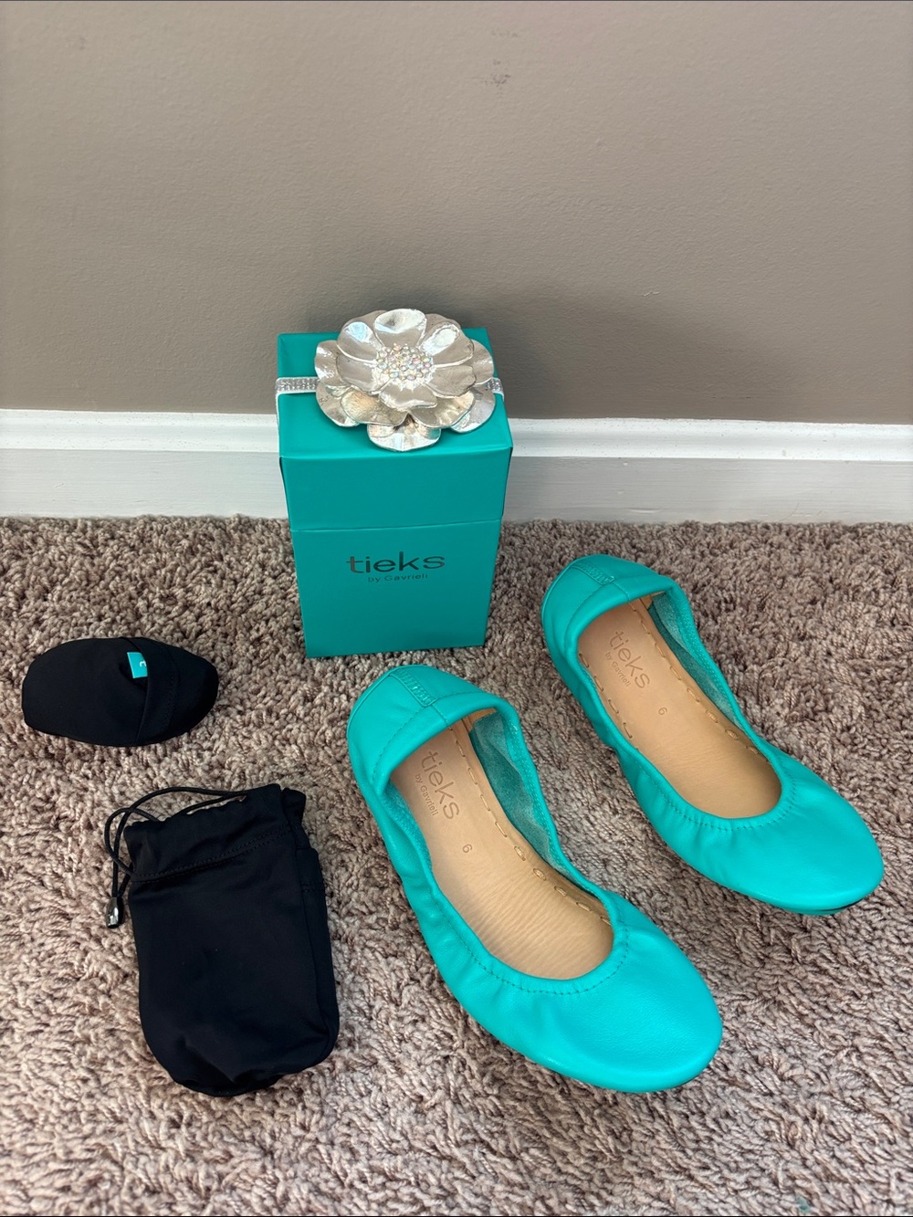 Tieks Blue Classic Flats